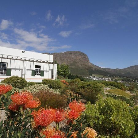The Vineyard Cottage By L' Amitie Estate Franschhoek Extérieur photo