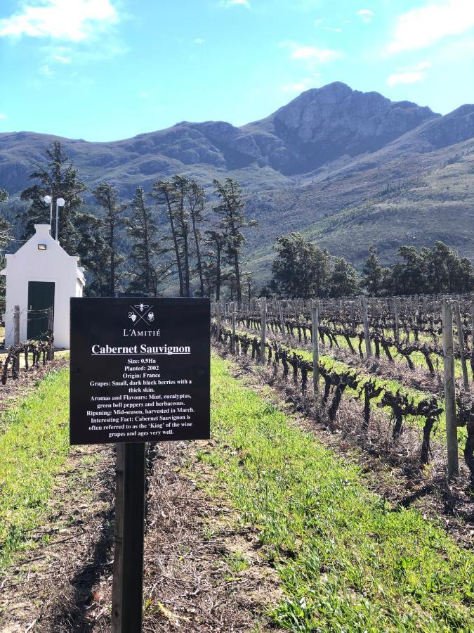The Vineyard Cottage By L' Amitie Estate Franschhoek Extérieur photo